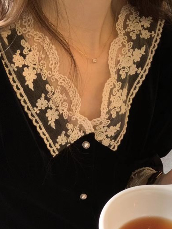 French Velvet Lace V Neck Long Sleeve Blouse